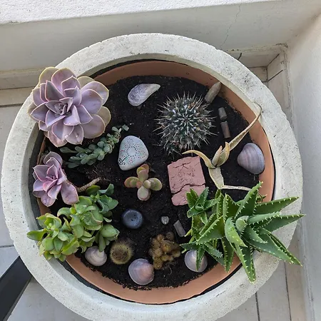 Apartmán Near Croisette *